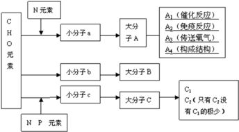 一年生草本植物x種群數量調查分析